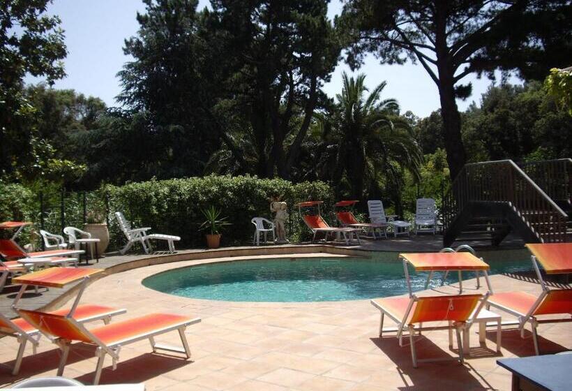 فندق Hôtel Les Palmiers