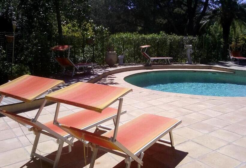 فندق Hôtel Les Palmiers