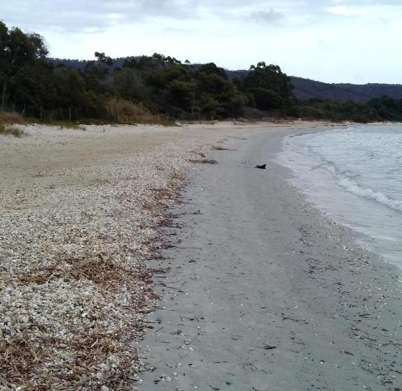 فندق Hôtel Les Palmiers