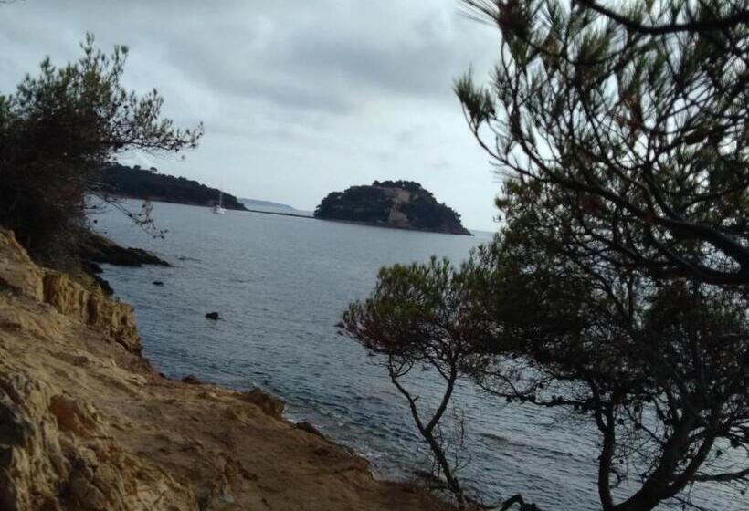 בית מלון כפרי Hôtel Les Palmiers