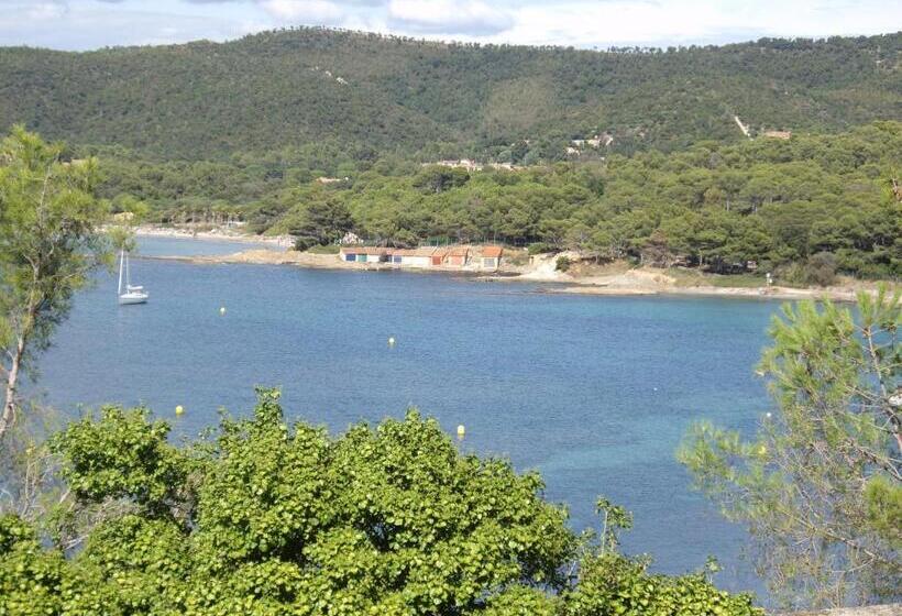 فندق Hôtel Les Palmiers