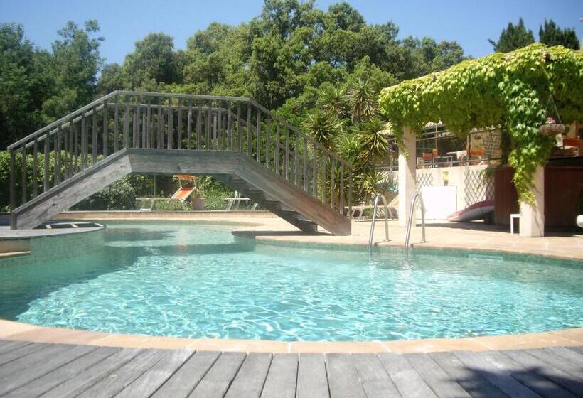 فندق Hôtel Les Palmiers