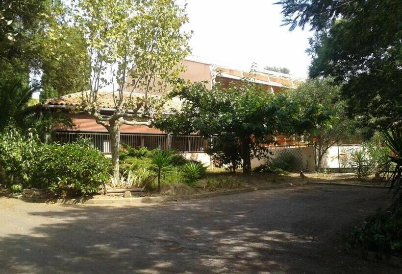 ホテル Hôtel Les Palmiers
