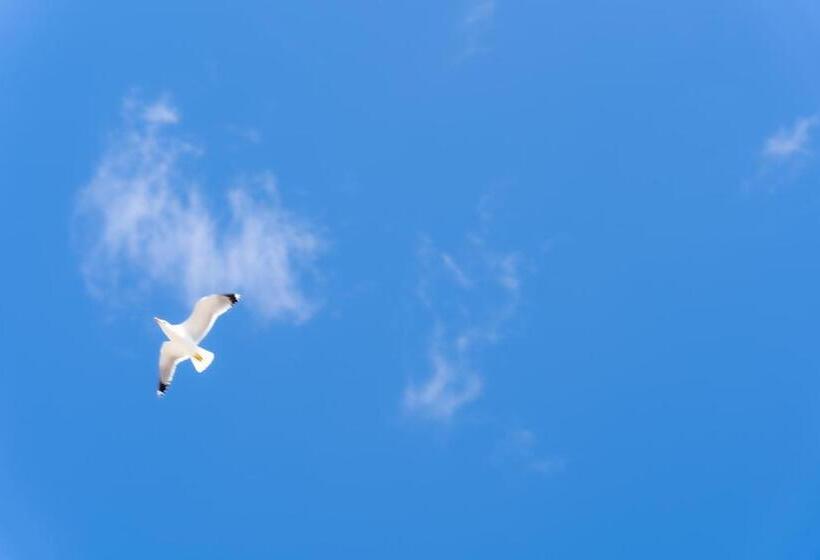 בית מלון כפרי Hôtel Mar I Cel & Spa