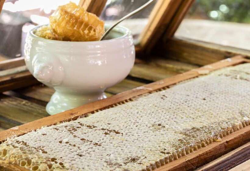 בית מלון כפרי Hôtel Mireille