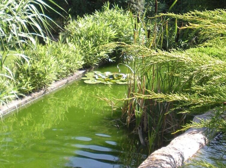 Отель Hôtel Restaurant Ricordeau