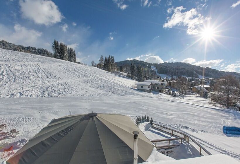 Chalet Hotel Crychar