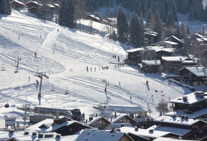 Chalet Hotel Crychar