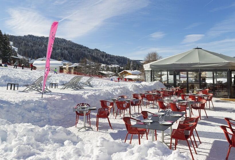 Chalet Hotel Crychar