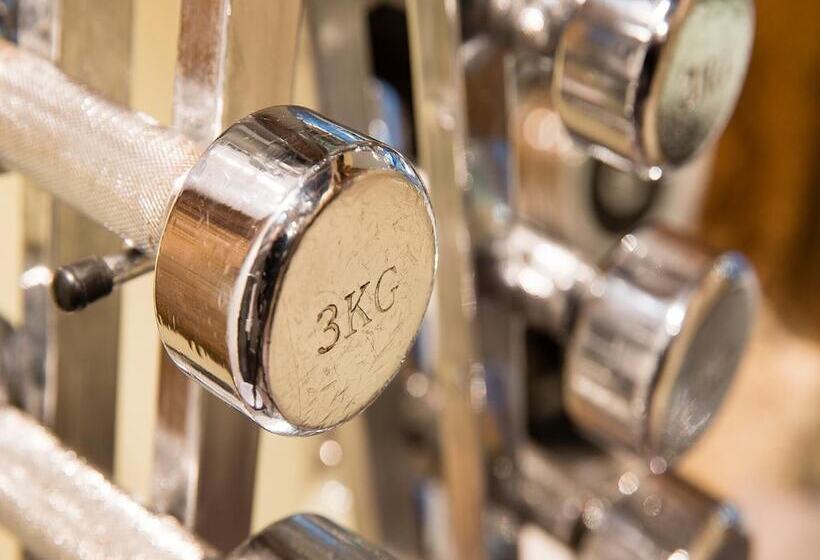 ホテル Hôtel Jacques De Molay   Fitness & Sauna