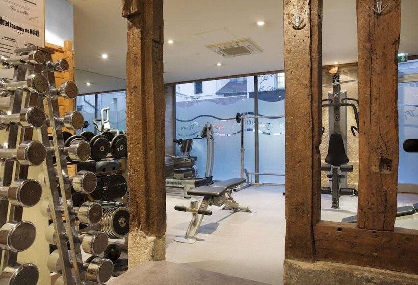 ホテル Hôtel Jacques De Molay   Fitness & Sauna