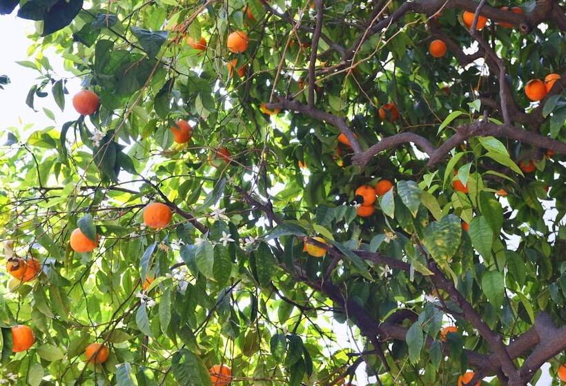 ホテル La Villa Nice Promenade