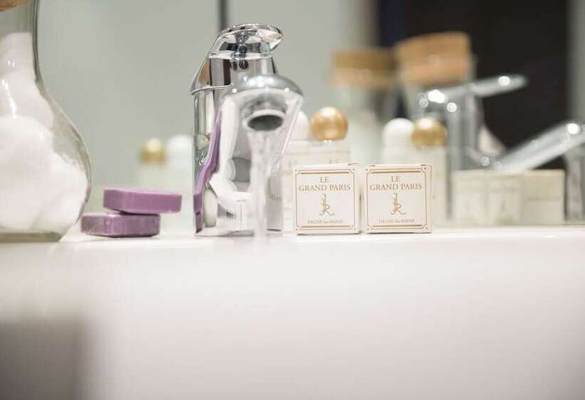 בית מלון כפרי Le Grand Paris