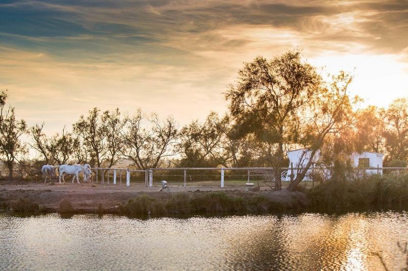 هتل Mas De La Fouque   Hôtel & Spa