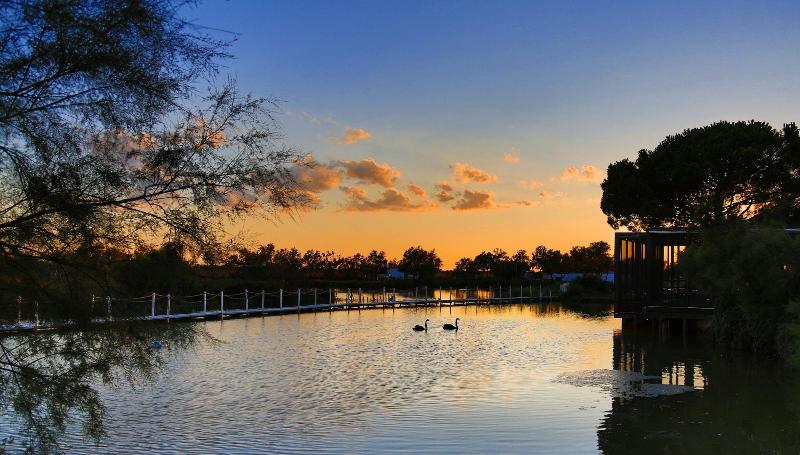 فندق Mas De La Fouque   Hôtel & Spa