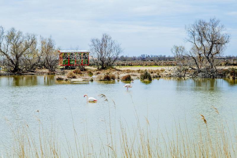 فندق Mas De La Fouque   Hôtel & Spa