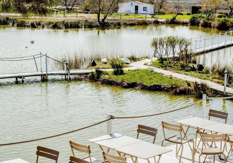 فندق Mas De La Fouque   Hôtel & Spa