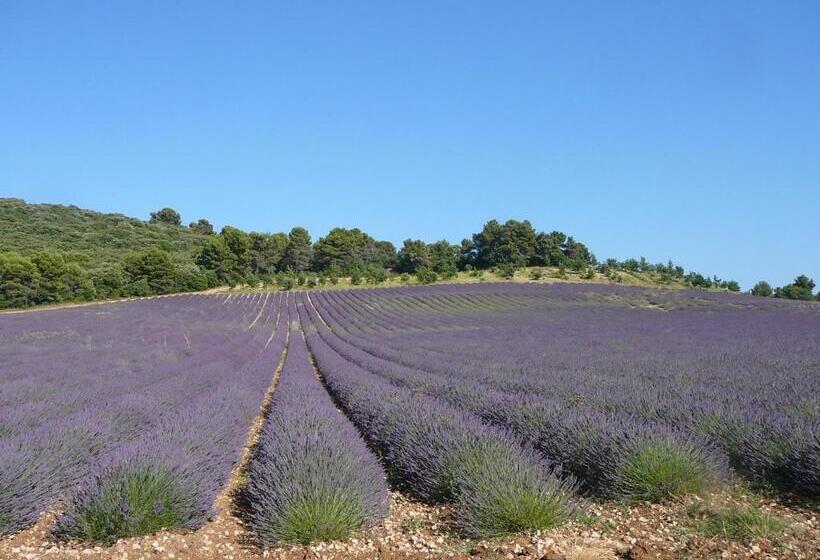 酒店 Le Relais Notre Dame