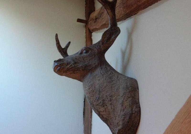 Отель Les Chevaliers