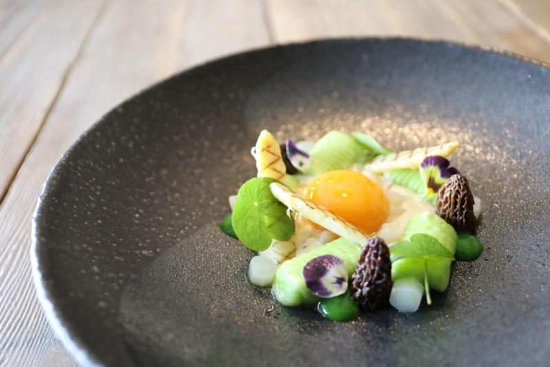 ホテル Les Glycines   Hôtel & Spa   Teritoria