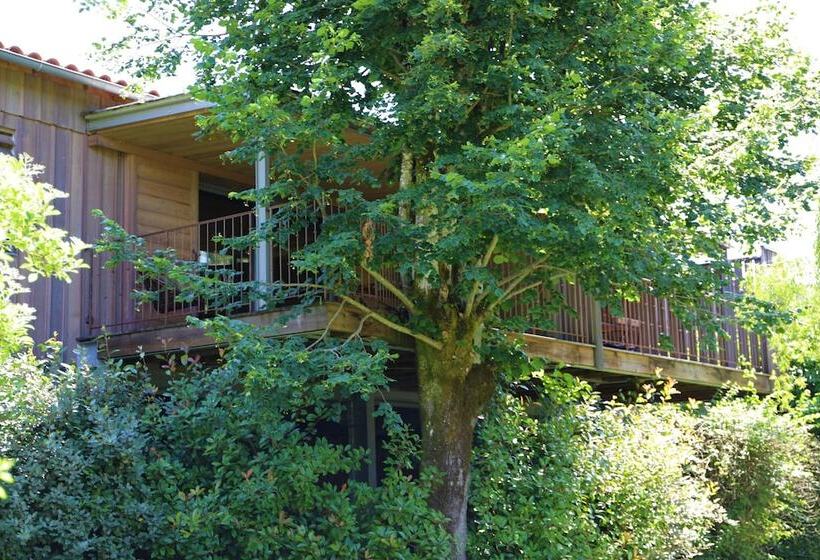 ホテル Les Glycines   Hôtel & Spa   Teritoria