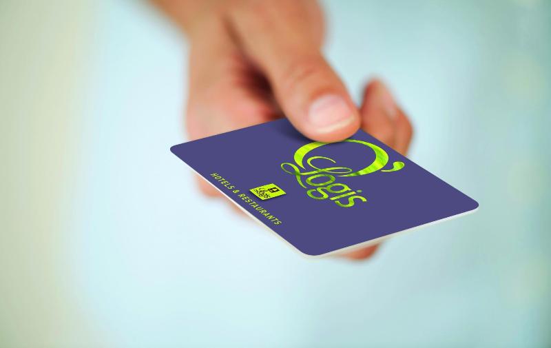 Отель Logis Hôtel Et Restaurant Du Dauphin