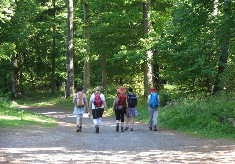 Отель Logis Hôtel Notre Dame Restaurant Ouvert Midi Et Soir Sauf Dimanche Soir