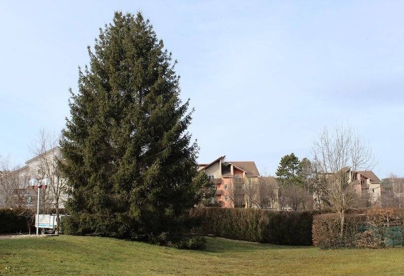 בית מלון כפרי Melodie