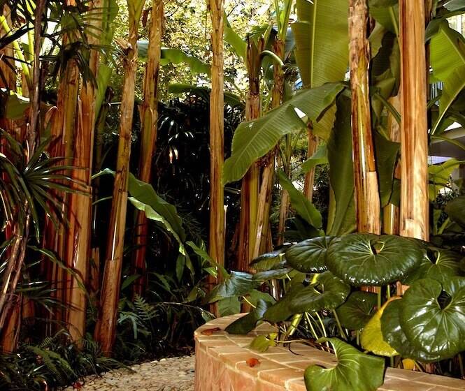 בית מלון כפרי Napoleon