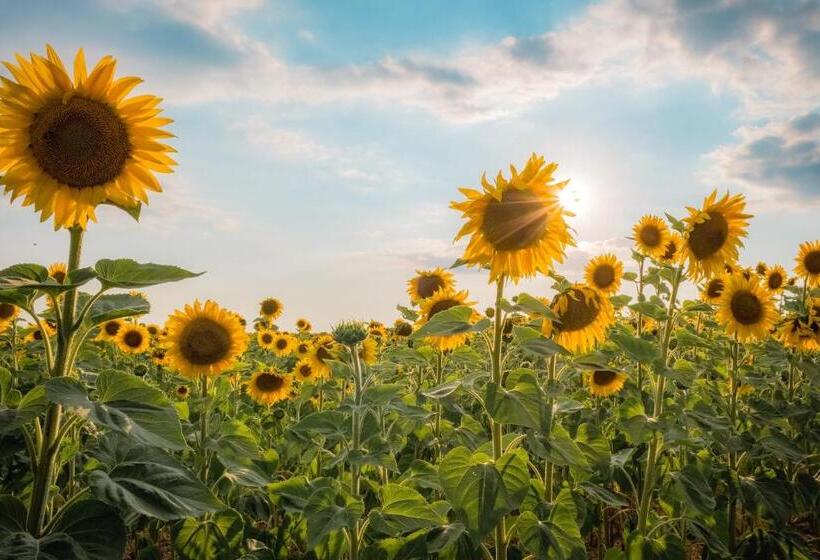 בית מלון כפרי Relais Et Chateaux La Bonne étape