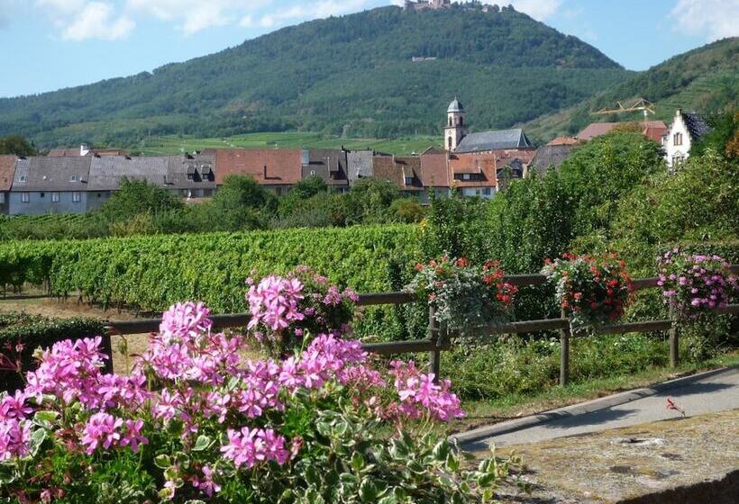 酒店 Hôtel A La Vignette   Colmar Nord