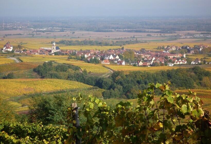 酒店 Hôtel A La Vignette   Colmar Nord