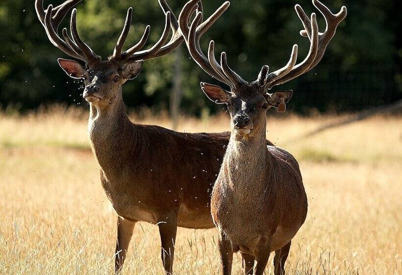 酒店 Restaurant Laborderie