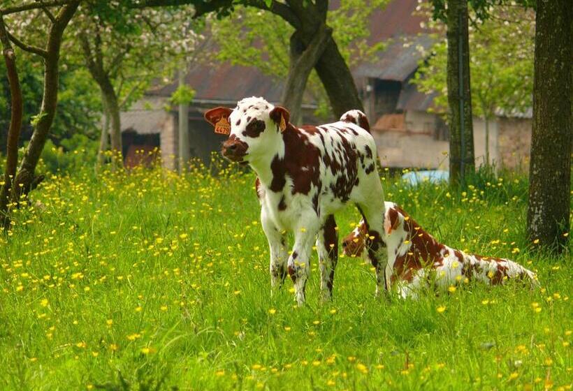 בית מלון כפרי Restaurant Le Dauphin Et Le Spa Du Prieuré
