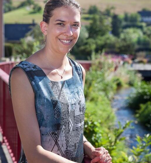 Logis Hostellerie Motel Au Bois Le Sire