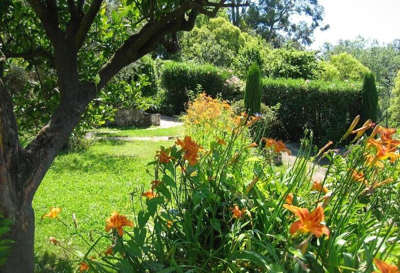 Mas De Vence   Hotel Restaurant