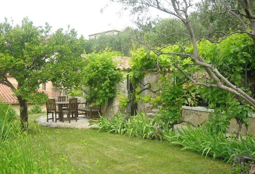 Mas De Vence   Hotel Restaurant