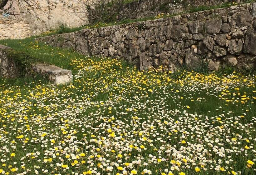 Mas De Vence   Hotel Restaurant