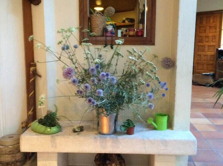 Mas De Vence   Hotel Restaurant