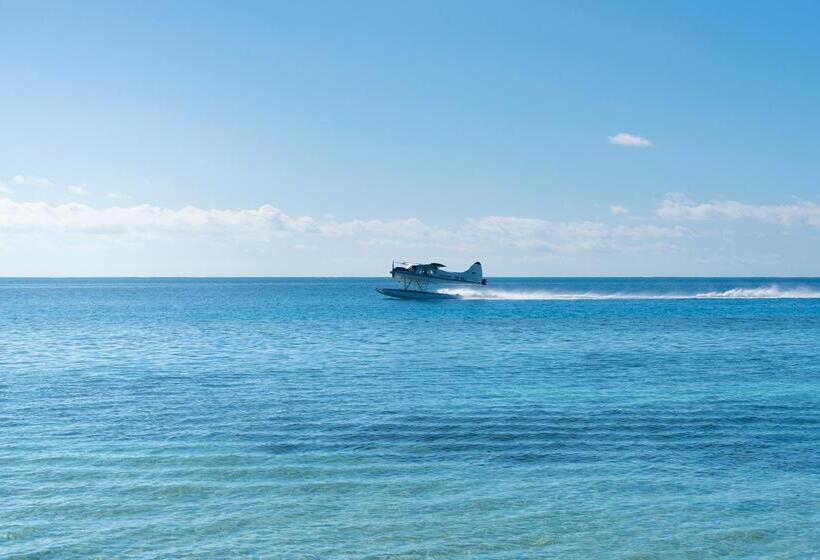 استراحتگاه Castaway Island, Fiji