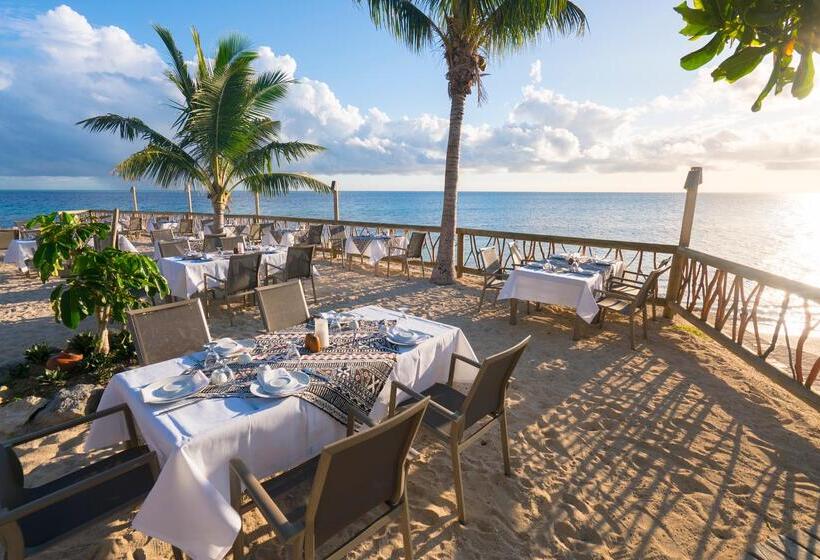 استراحتگاه Castaway Island, Fiji