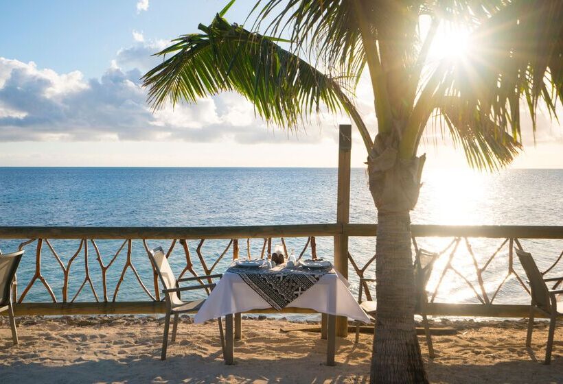 استراحتگاه Castaway Island, Fiji