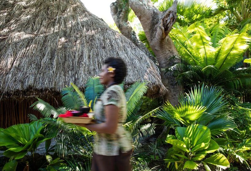 استراحتگاه Castaway Island, Fiji