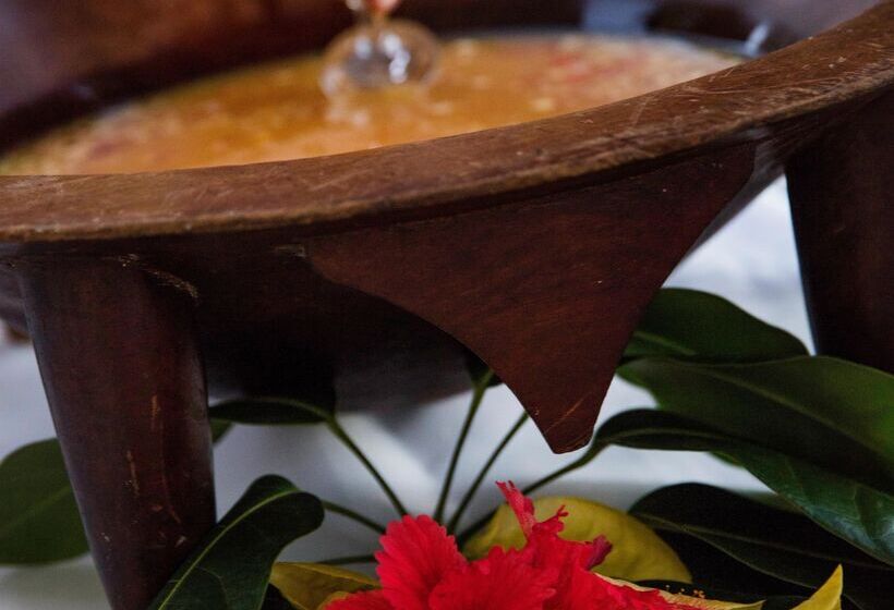 استراحتگاه Castaway Island, Fiji