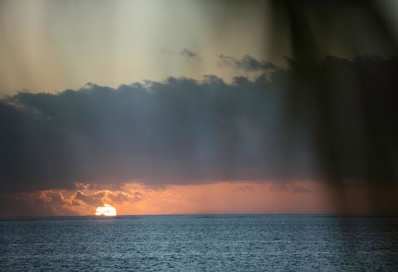 استراحتگاه Castaway Island, Fiji