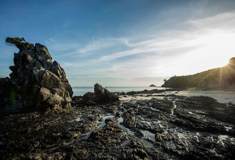 استراحتگاه Castaway Island, Fiji