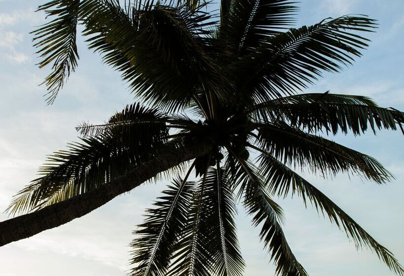 استراحتگاه Castaway Island, Fiji