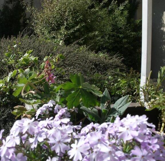 Cit Hotel Saint Jacques