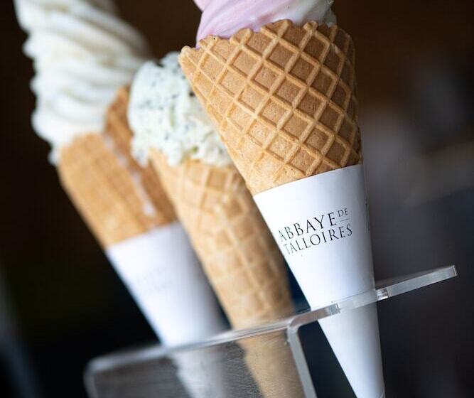 فندق Abbaye De Talloires