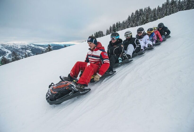 ホテル Alpen Ruitor